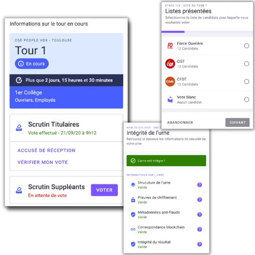 screenshot of Electronic Voting